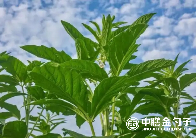 1656639243168212.png 圖片1.png